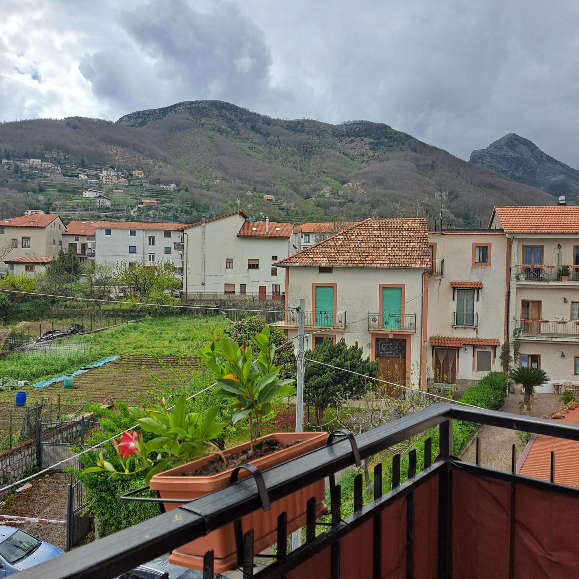 Apartament Casa Marilyn Agerola Zewnętrze zdjęcie