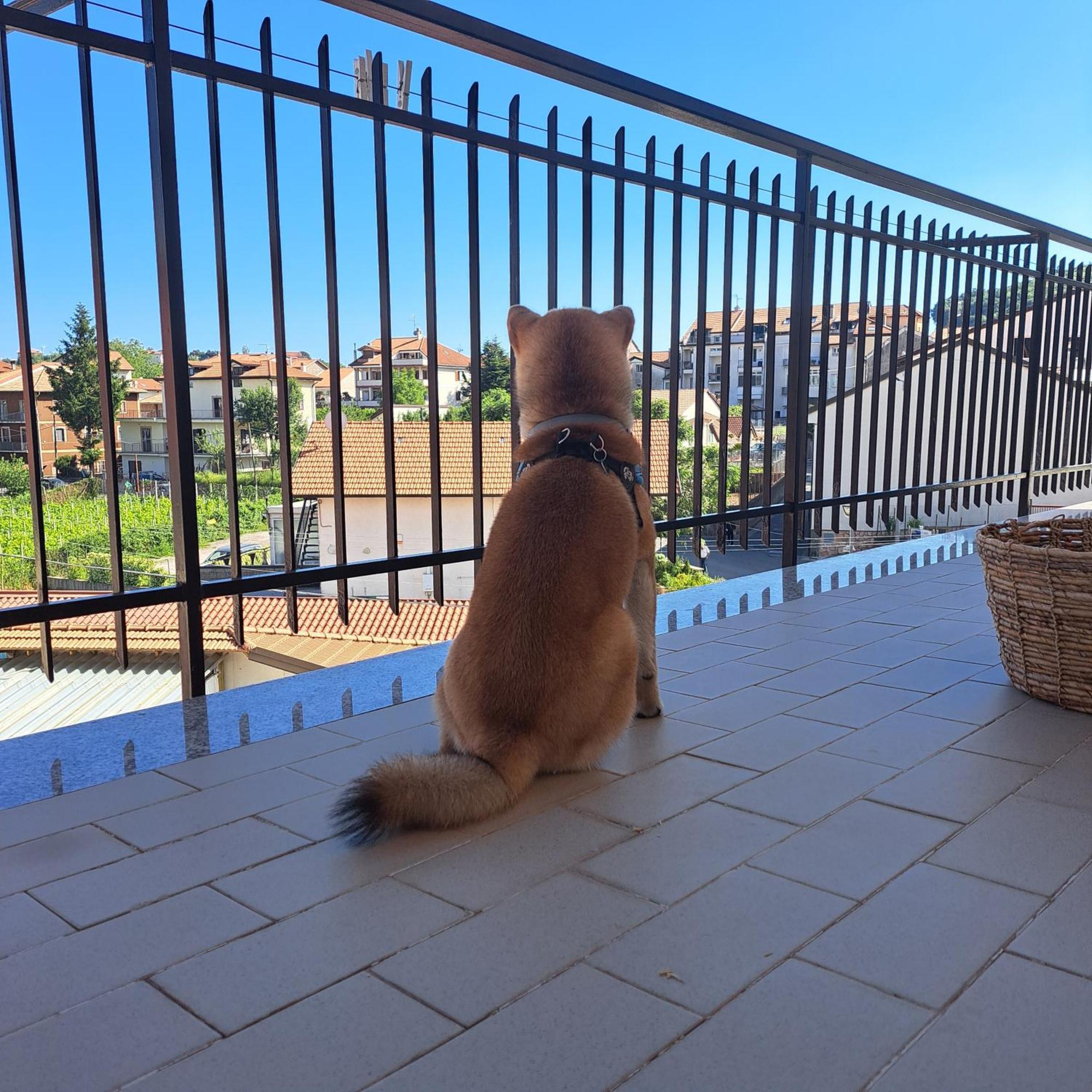 Apartament Casa Marilyn Agerola Zewnętrze zdjęcie